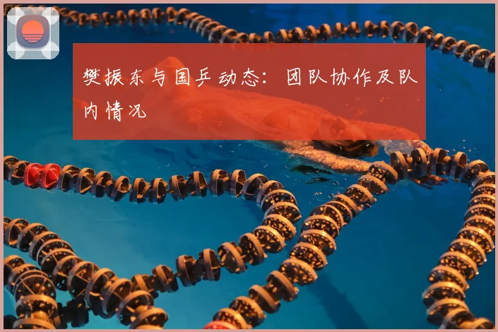 樊振东与国乒动态：团队协作及队内情况