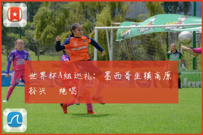世界杯A组巡礼：墨西哥坐镇高原 孙兴慜绝唱