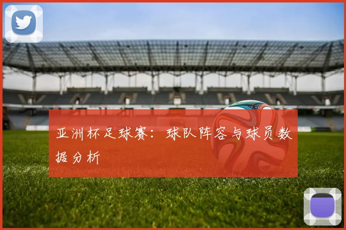 亚洲杯足球赛：球队阵容与球员数据分析