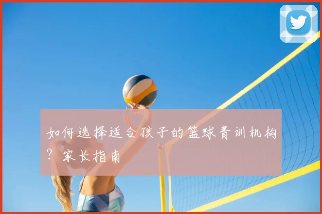 如何选择适合孩子的篮球青训机构？家长指南